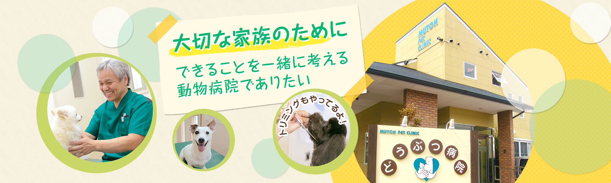 大切な家族のために できることを一緒に考える動物病院でありたい トリミングもやってるよ！