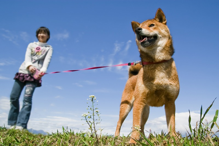 ペットの防災対策