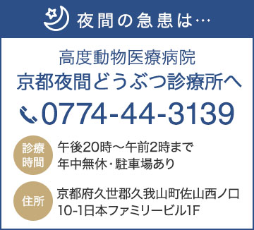 夜間の急患は…高度動物医療病院 京都夜間どうぶつ診療所へ TEL:0774-44-3139 診療時間 午後10時～午前2時まで 年中無休・駐車場あり 住所 京都府久世郡久我山町佐山西ノ口10-1日本ファミリービル1F